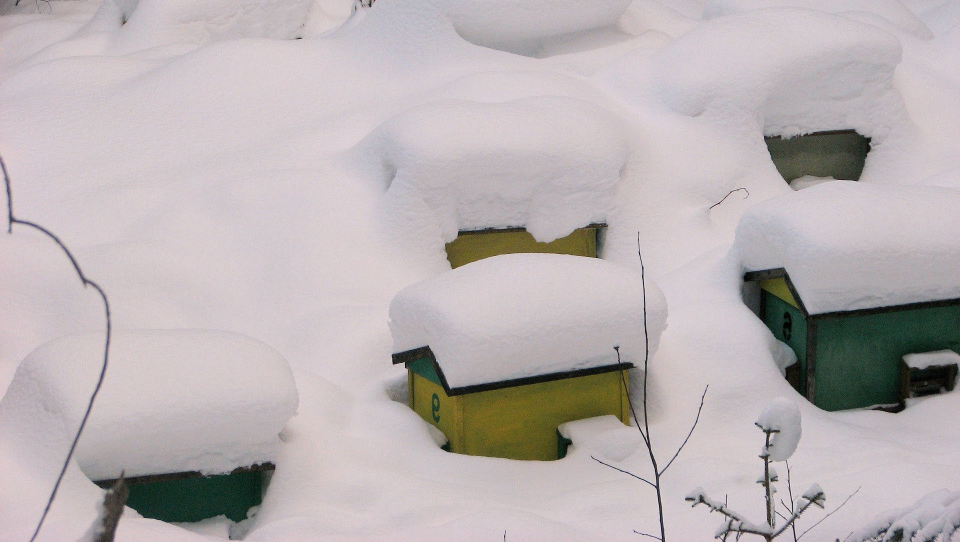 ruches sous la neige