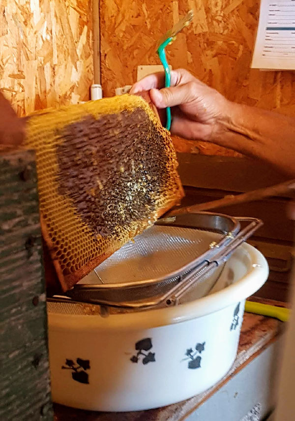 désopercule cadre hausse miel